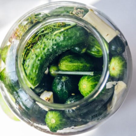 Vaste komkommer (Tindola)